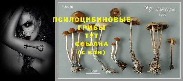 гидра Краснотурьинск