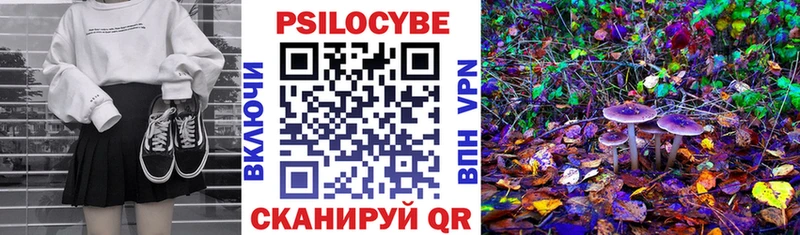 mega сайт  Чишмы  Галлюциногенные грибы Cubensis 